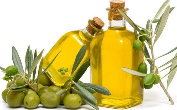 上海橄欖油進口清關