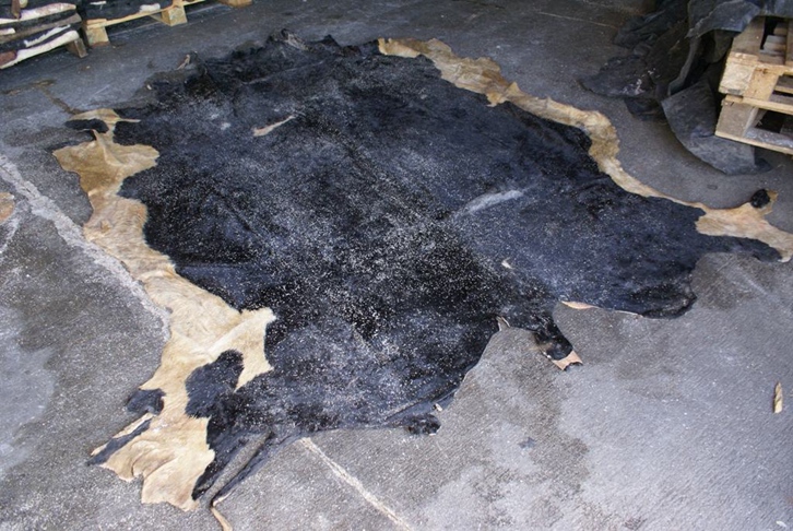 青島藍(lán)濕牛皮進(jìn)口報(bào)關(guān)資料