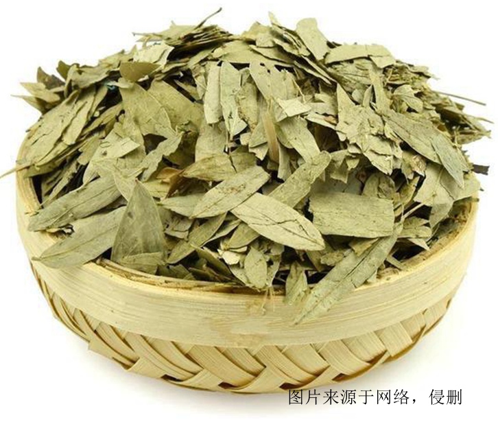 印度番瀉葉進口報關(guān)資料