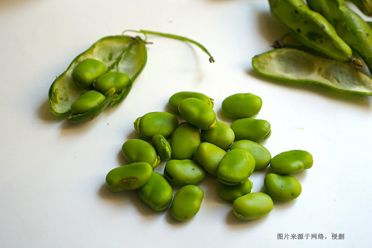 新西蘭蠶豆進(jìn)口報(bào)關(guān)費(fèi)用