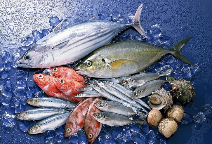 長(zhǎng)沙進(jìn)口菲律賓冷凍魚清關(guān)流程