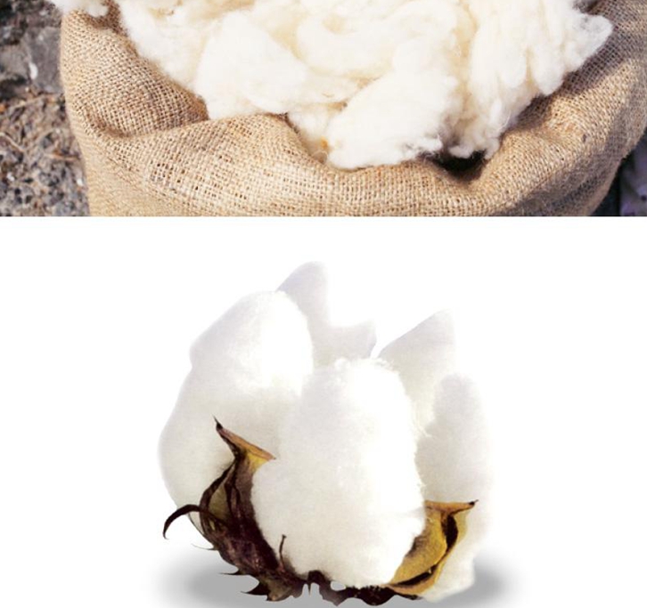 羊毛進口清關(guān)要多久