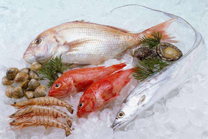 廣州冷凍品進(jìn)口報(bào)關(guān)公司