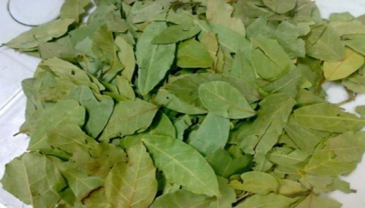 香葉進口報關注意事項有哪些？