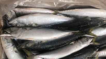 冷凍魚(yú)進(jìn)口報(bào)關(guān)流程_進(jìn)口冷凍魚(yú)到國(guó)內(nèi)報(bào)關(guān)的注意事項(xiàng)