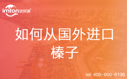 如何從國外進口榛子