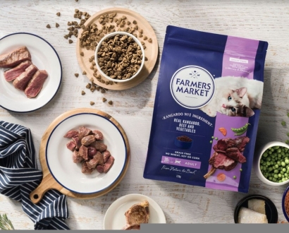 寵物貓糧進口報關公司一站式進口貓糧清關-門到門