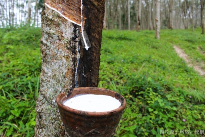 越南天然橡膠怎么進口報關(guān)清關(guān)_流程只需要這7點