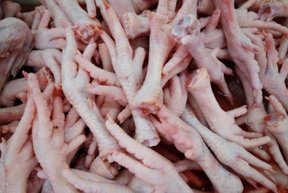 深圳雞爪進口清關公司一站式雞爪進口門到門服務