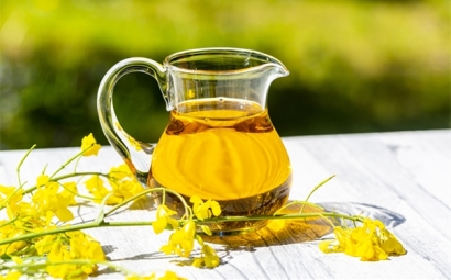 進(jìn)口菜籽油報(bào)關(guān)的詳細(xì)流程，get！