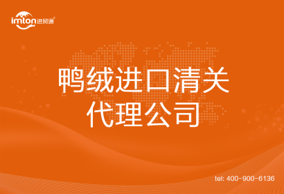 鴨絨進口清關代理公司