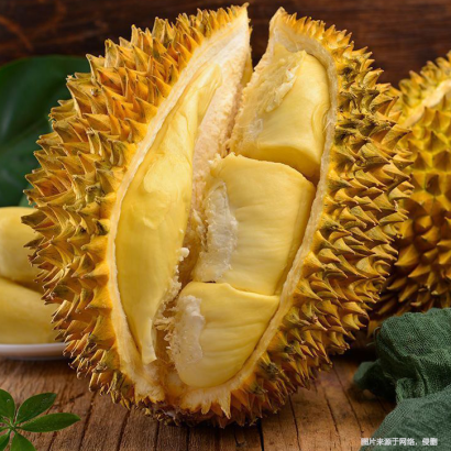 廣州進(jìn)口泰國榴蓮海運(yùn)報(bào)關(guān)流程門到門-海運(yùn)專業(yè)食品進(jìn)口報(bào)關(guān)清關(guān)