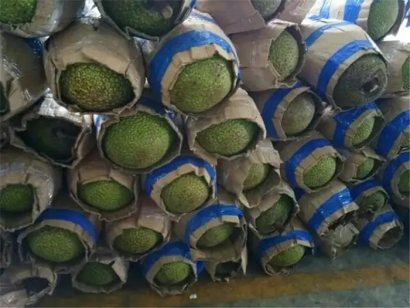 進(jìn)口越南菠蘿蜜空運報關(guān)的流程_進(jìn)口越南水果準(zhǔn)入