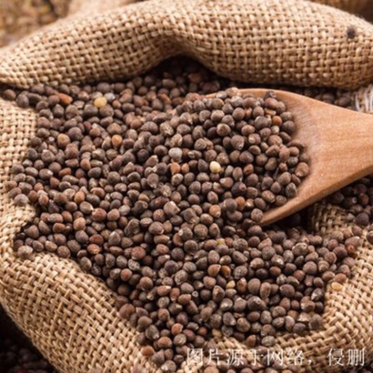 進口奇亞籽清關資料流程_墨西哥奇亞籽進口報關行