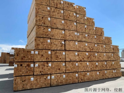 白俄羅斯進口報關公司哪家好？白俄羅斯木材清關流程