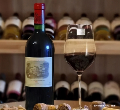 上海港食品酒水進口報關(guān)清關(guān)服務(wù)的重要性、流程及細節(jié)