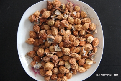 天津進口印尼白豆蔻報關流程_藥材豆蔻進口準入要求