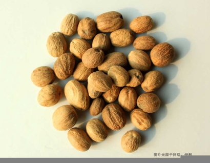 印度尼西亞肉豆蔻進口報關費用_香料進口通關指南