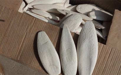 看這里!進口墨魚骨報關(guān)之前需提前準備的資料