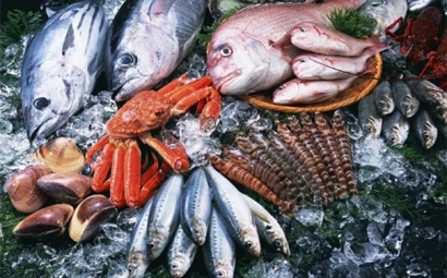 進口水產品報關監管條件以及申報要素