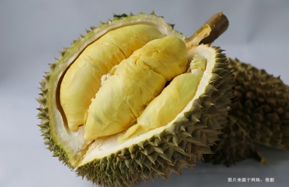 桂林進口泰國榴蓮報關流程_泰國榴蓮進口空運費用