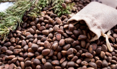 松子進口清關(guān)公司 一站式進口代理服務(wù)