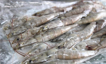 越南蝦進(jìn)口報(bào)關(guān)流程技巧講解，get到了嗎