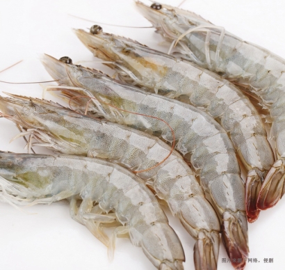 厄瓜多爾南美白蝦進(jìn)口報(bào)關(guān)資料到天津水產(chǎn)品案例