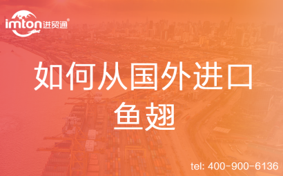 如何從國(guó)外進(jìn)口魚(yú)翅