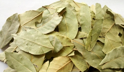 【進口香葉清關(guān)代理公司】告訴你香葉進口流程