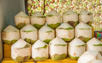 泰國椰青進口報關(guān)的流程有這些