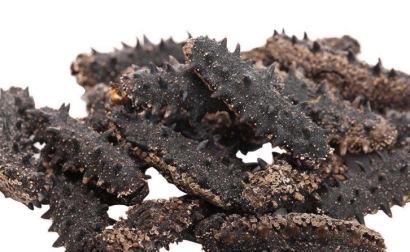 法國海參進口報關流程_上海干海參進口清關資料