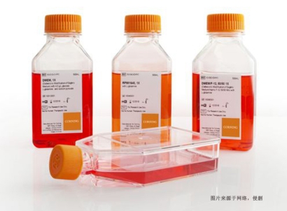 美國細胞培養試劑進口報關費用_生物試劑特殊物品申報