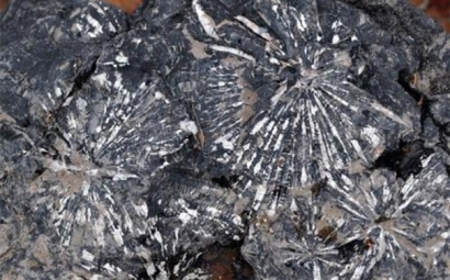 鎳礦石進口清關(guān)所需資料以及注意事項