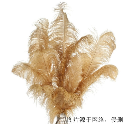 英國(guó)水洗鴕鳥(niǎo)羽毛進(jìn)口報(bào)關(guān)資料_羽絨清關(guān)注意事項(xiàng)