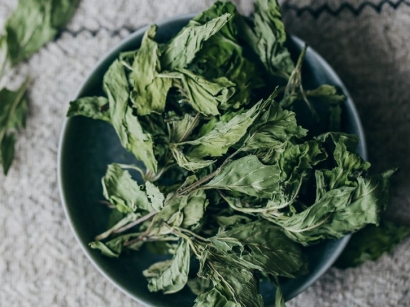 加拿大薄荷進口報關流程_廣州藥食同源藥材報關