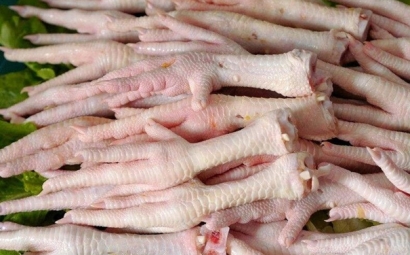 阿根廷冷凍雞爪進口報關一般貿易進口條件