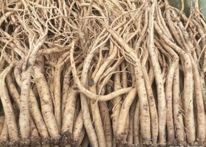 馬來西亞藥材進口報關的流程手續很復雜么