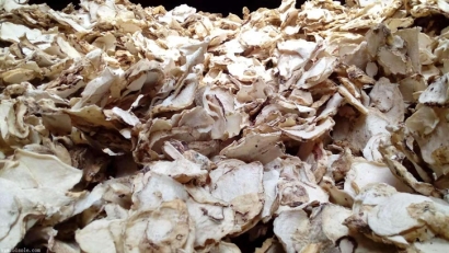 印尼魔芋可以進(jìn)口嗎？魔芋干進(jìn)口報(bào)關(guān)準(zhǔn)入國