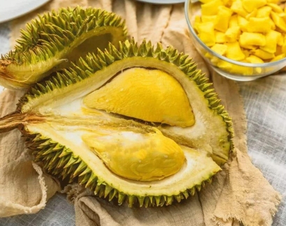 上海進口泰國榴蓮清關(guān)流程門到門_林查班海運專線