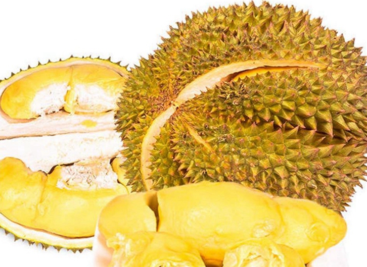 馬來西亞冷凍貓山王榴蓮進(jìn)口報(bào)關(guān)流程