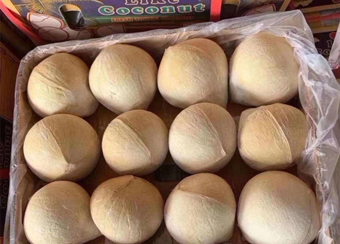 進(jìn)口新鮮椰子報關(guān)
