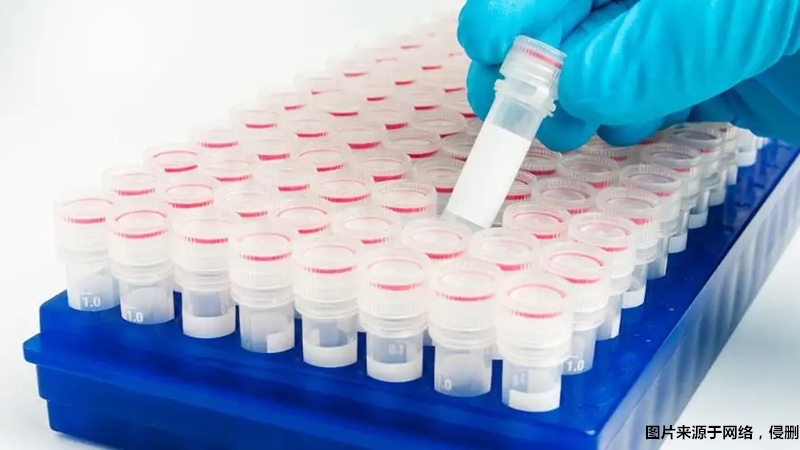 1680091025185859.jpg 上海進口生物試劑報關(guān)流程.jpg