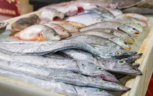 1631095880539377.jpg 上海水產(chǎn)品進(jìn)口報關(guān)公司_副本.jpg