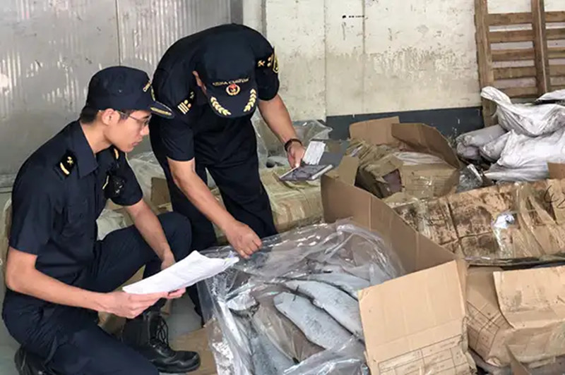 1667997797951232.jpg 水產(chǎn)品進口廣州機場報關(guān).jpg