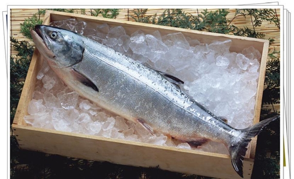 1631095835938531.jpg 上海水產(chǎn)品進(jìn)口報關(guān)_副本.jpg