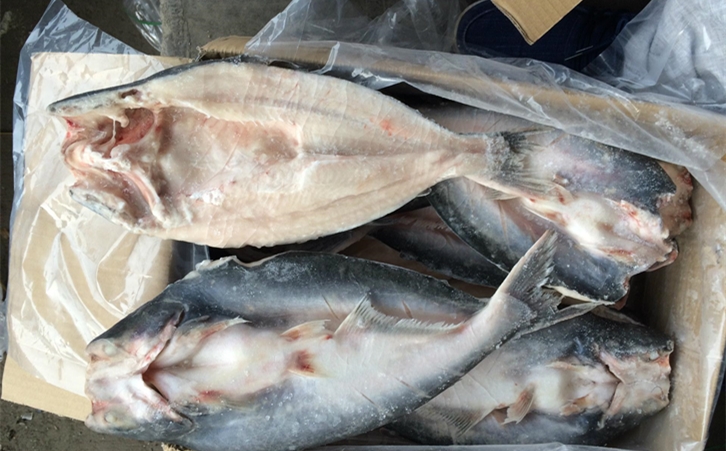 進口巴沙魚清關代理一點都不難，只要你準備好這些資料