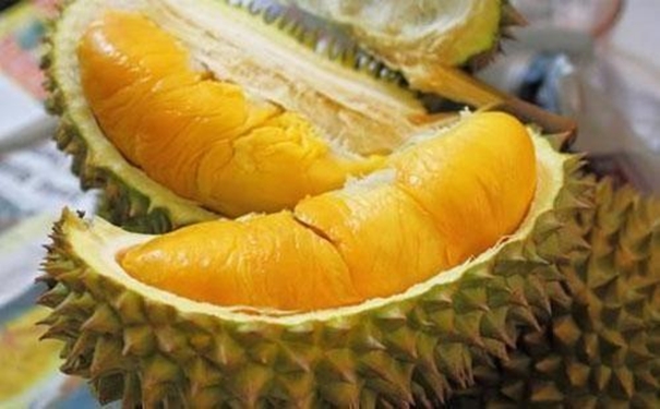 進口馬來西亞榴蓮清關為大家講解3大重要內容 進口馬來西亞榴蓮清關