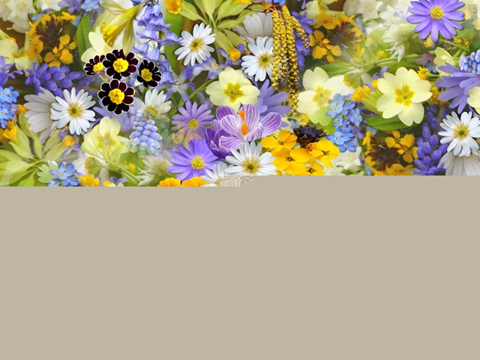 1669889970157311.jpg 公司一般貿易進口鮮花報關.jpg