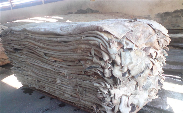 1588124353843553.jpg 3617e7e11293454f8dcd9cb7ee326c0b_297907_201211121631046_副本.jpg